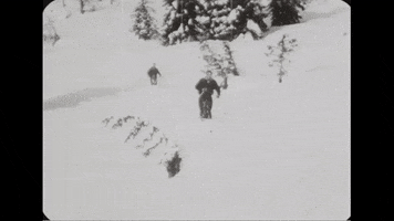 vintage downhill skiing GIF by US National Archives