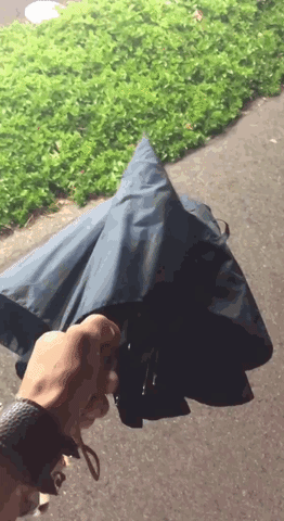 Umbrella GIF