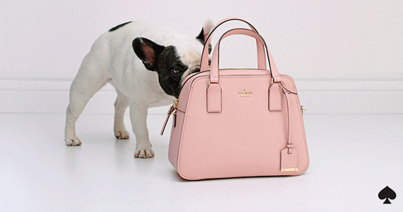 French Bulldog Puppy GIF by kate spade new york - Find & Share on GIPHY