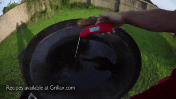 thermometer grilling GIF by Grillax®