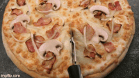 Willyder Pizza Cutter GIF - Willyder Pizza Cutter Dance - Discover & Share  GIFs