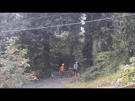 tiffanypitts  GIF