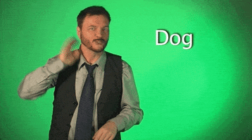 sign language dog GIF by Sign with Robert