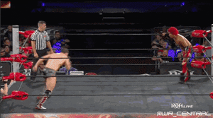 wr_central wrestling roh best in the world GIF