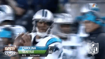 carolina panthers football GIF by NFL