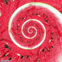spiral melon GIF by Psyklon