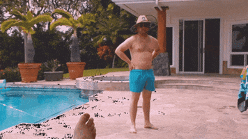 toad  GIF