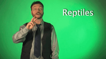 sign language reptiles GIF by Sign with Robert