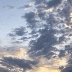 Look Up Make It Rain Gif By Bryan Unger Find Share On Giphy