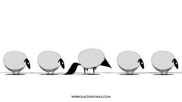 gastonvinas sheep gaston viÃ±as viÃƒÂ±as GIF