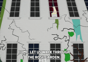 window talking GIF by South Park 