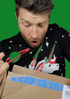 Merry Christmas Reaction GIF by Brett Eldredge