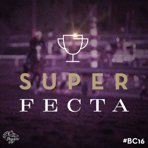 Breeders Cup GIF by CTPBoston