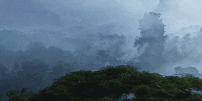 avatar4lyfe  GIF