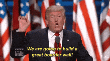 build-the-wall meme gif