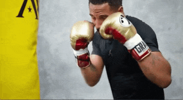 Boxing Boxer GIF by Andre Ward