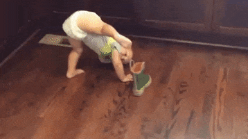 hs  GIF