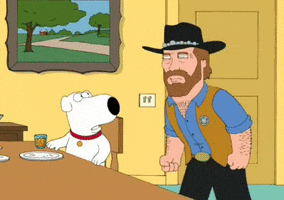 brian griffin fox GIF by Family Guy
