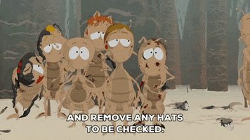 bugs hats GIF by South Park 