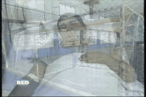 alvarococovalenzuela  GIF