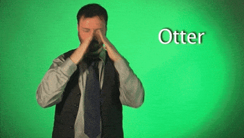sign language otter GIF by Sign with Robert