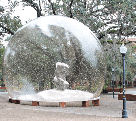 Snow Globe GIF by University of Florida - Find & Share on GIPHY