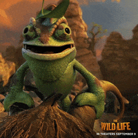 the wild life cowboy GIF by Lionsgate