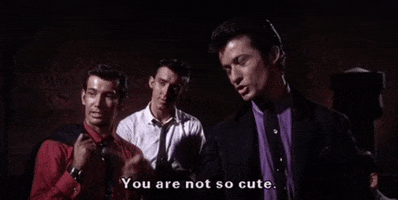 You Are Not So Cute West Side Story GIF by filmeditor