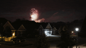 mauricehenson fireworks deer crossing geist GIF