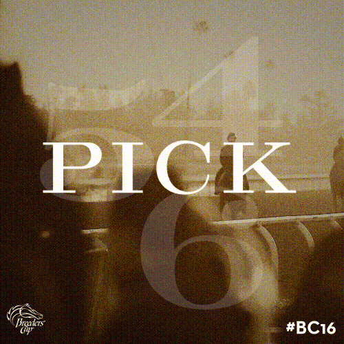 Breeders Cup GIF by CTPBoston