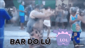 lidi  GIF