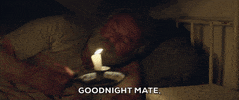 100.gif?cid=20e14a2a4b28lxa04ybbkr6cu67o0b40lo5ystigchwgkqwa&rid=100.gif&ct=g