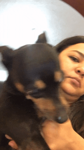 sane  GIF