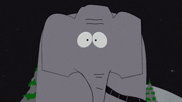 elephant GIF by South Park 