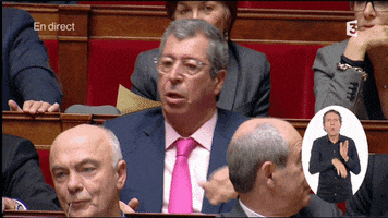 patrick balkany GIF by franceinfo