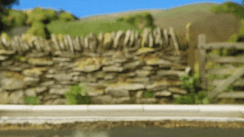 shaun the sheep swimming GIF by Aardman Animations