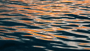 naowao nature psychedelic wave pattern GIF