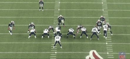 cianfahey  GIF