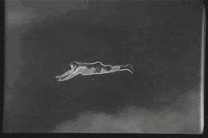 flying man of steel GIF by US National Archives