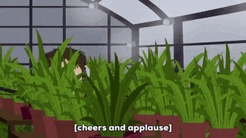 news plants GIF by South Park 