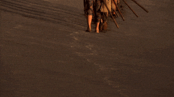 survivorau GIF by Australian Survivor