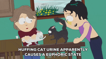 cats drugs GIF by South Park 