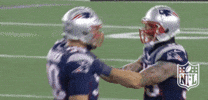 Celebrate New England Patriots GIF by NFL