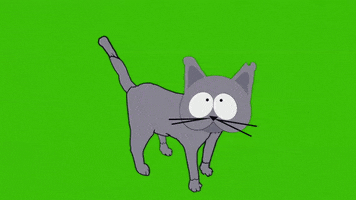 confused cat GIF by South Park 