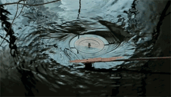 potti  GIF