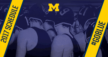 water polo schedule GIF by Michigan Athletics