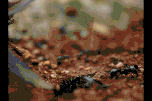 diagonal saltamos.net galiza GIF