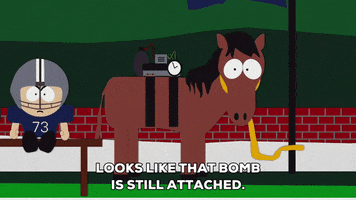 look horse GIF by South Park 