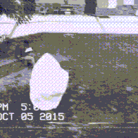 200.gif?cid=fc005b08036d8f5cc49ba281cccce1c2cc3f794eb1125ea1&rid=200.gif&ct=g
