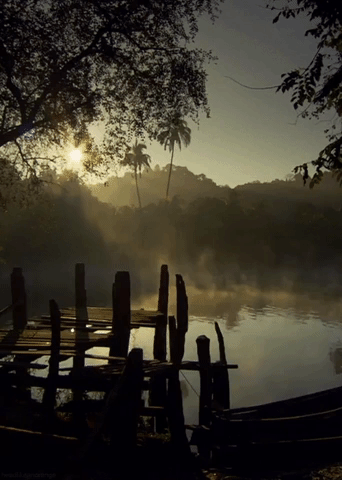 coolgifs1992 nature water morning chill GIF